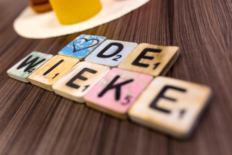 de wieke afbeelding.jpg