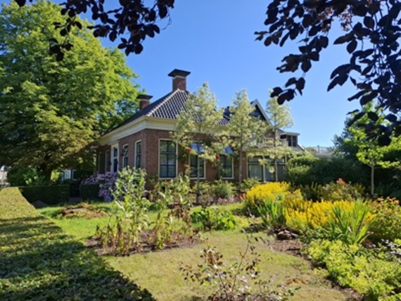 huis in de zon.jpg 